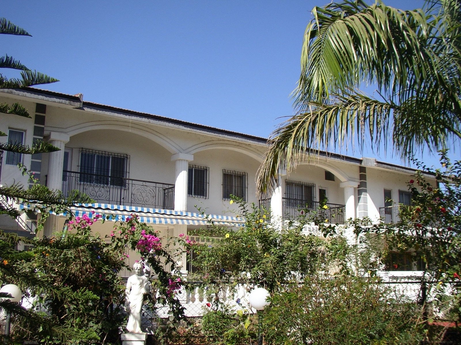 The Silver Oak terrace framed by palms and bougainvillea